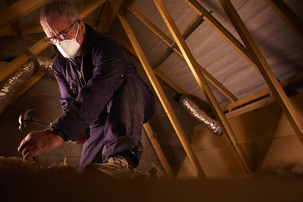 Garage Insulation Installation in Sutton Alpine, AK